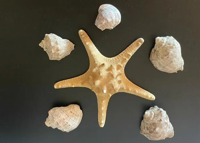 Sunny Plaza 100 M Sea *