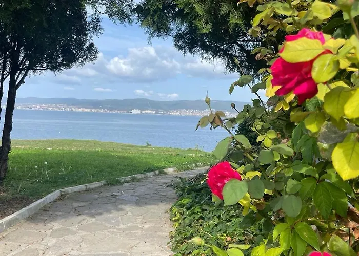 Sunny Plaza 100 M Sea