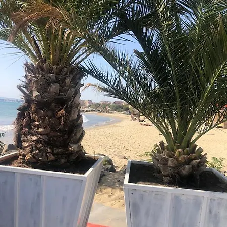 Appartement Sunny Plaza 100 M Sea Sunny Beach