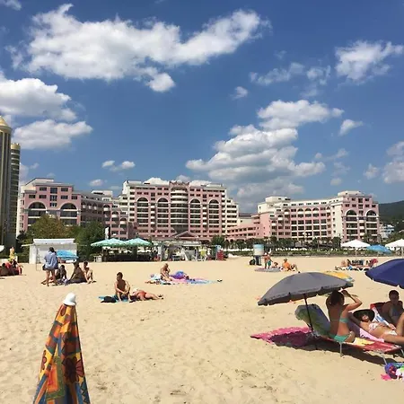 Sunny Plaza 100 M Sea * Sluneční pobřeží