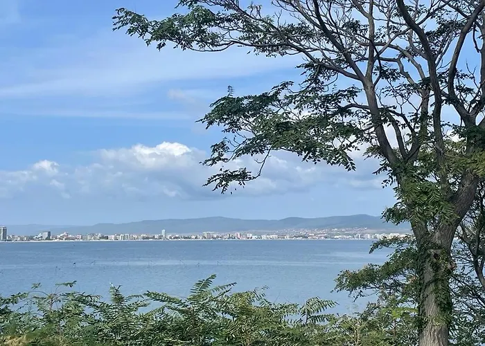 Sunny Plaza 100 M Sea Sunny Beach